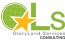 GLS Consulting